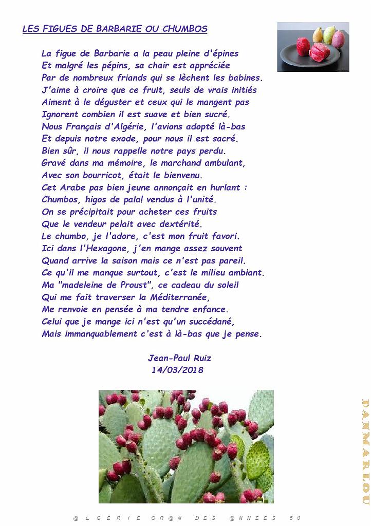 LES FIGUES DE BARBARIE OU CHUMBOS.jpg